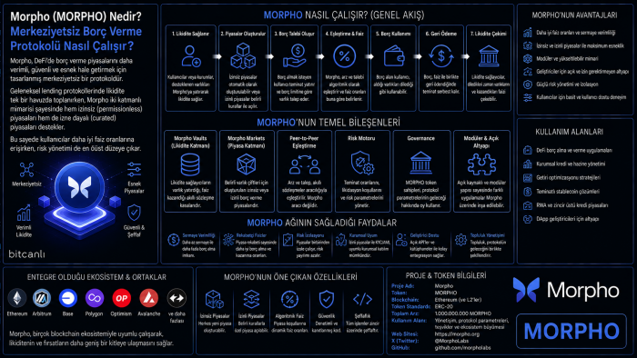 Morpho (MORPHO) Nedir? Merkeziyetsiz Borç Verme Protokolü Nasıl Çalışır?